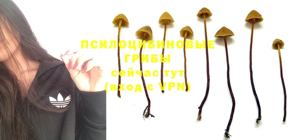 спайс Бронницы