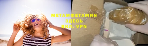 гидра Богданович