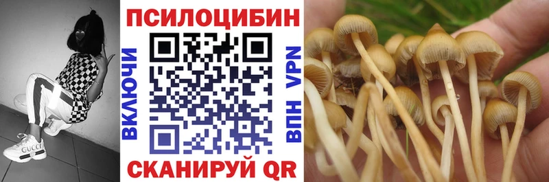 Галлюциногенные грибы GOLDEN TEACHER  Купить  Вытегра 